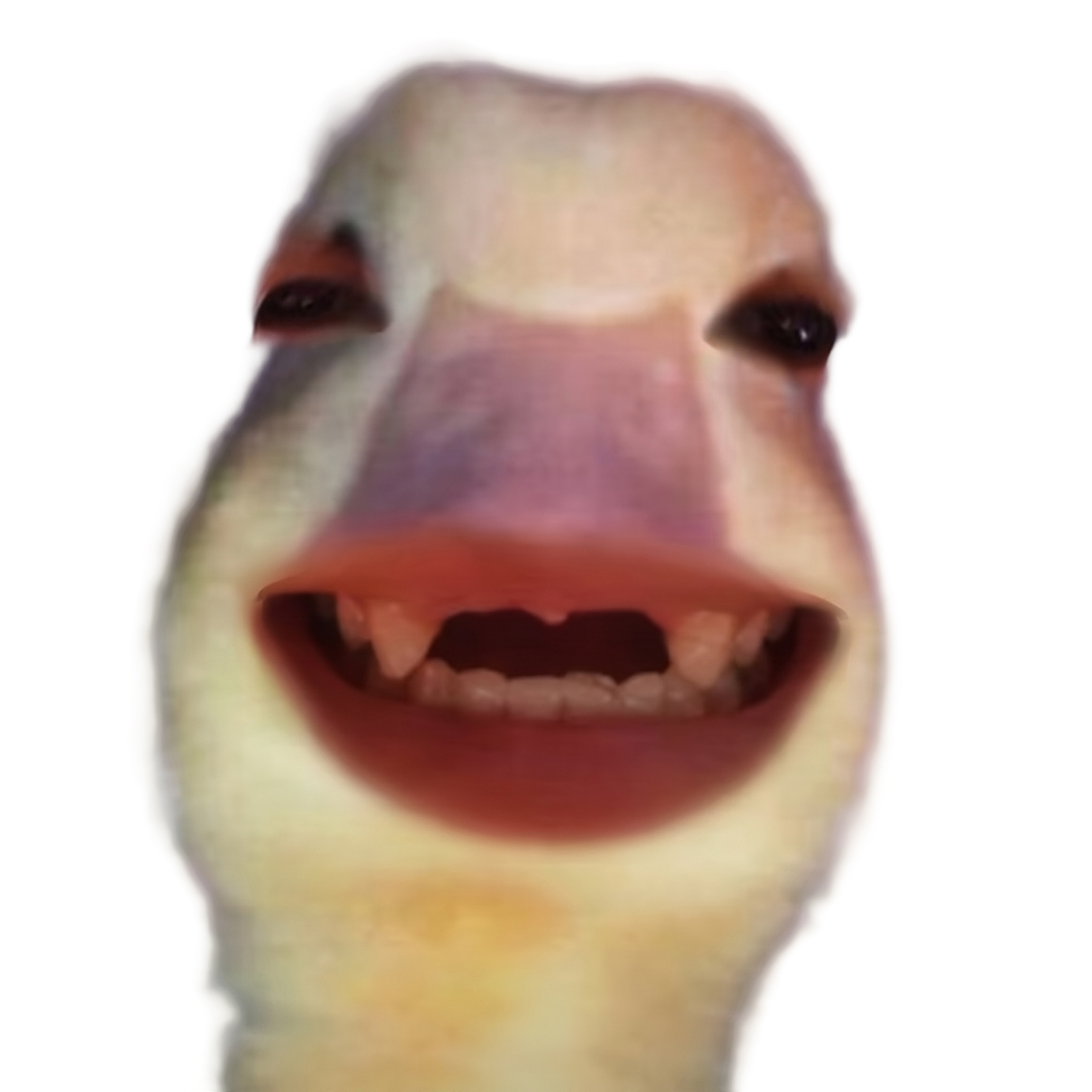 Joby the duck